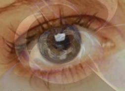 Eye Eye