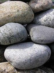 Rocks Rocks