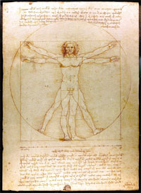 The Vitruvian Man by Leonardo da Vinci