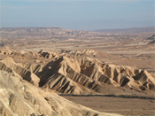 Sinai Desert